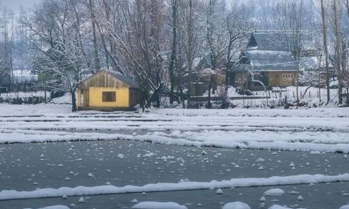 Couple Kashmir Package